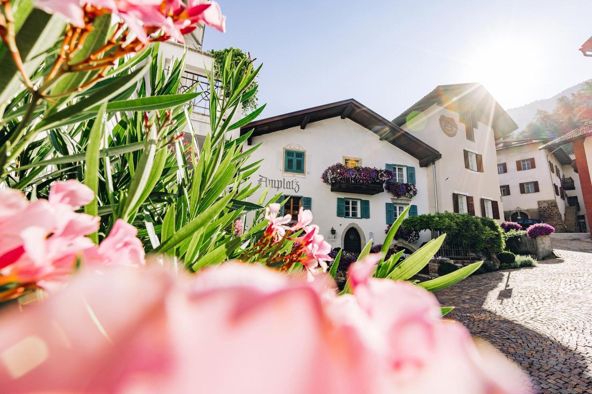 Amplatz 1523 - B&B And Suites Монтаня Екстериор снимка